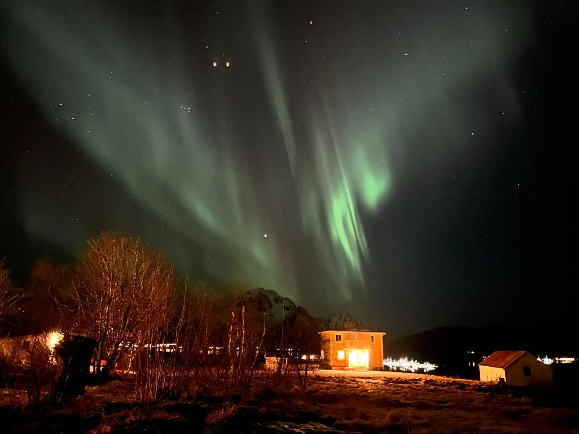 Pederstua, A Classic Fisherman'S Farm House In The Middle Of Lofoten Storeidet Kültér fotó